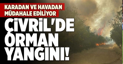ÇİVRİL'DE ORMAN YANGINI!