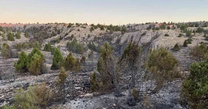 KÜTAHYA’DA ORMAN YANGINI: 10 DEKAR ALAN ZARAR GÖRDÜ