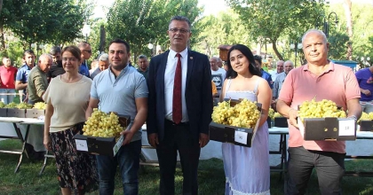 ALAŞEHİR'İN EN GÜZEL ÜZÜMÜ SEÇİLDİ