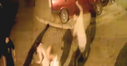 DİNİ NİKAHLI ESKİ EŞ VE ÇOCUKLARINDAN ÖLDÜRESİYE DAYAK