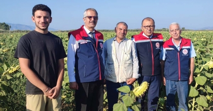 AYÇİÇEĞİ HASADI ÖNCESİ ÜRETİCİLERE DESTEK MÜJDESİ