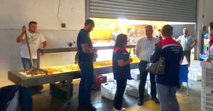 AYDIN'DA İNCİR ÜRETİCİLERİNE AFLATOKSİN VE OKRATOKSİN UYARISI