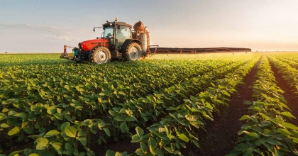 BİTKİSEL ÜRETİME DESTEK USULLERİ BELİRLENDİ