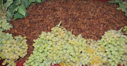 ÇEKİRDEKSİZ KURU ÜZÜM İHRACATI 207 BİN TON OLDU