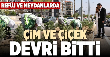 ÇİM VE ÇİÇEK DEVRİ BİTTİ
