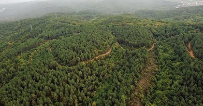 DEVLET ORMANLARI TURİZME AÇILACAK