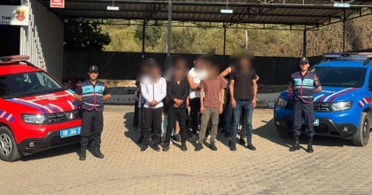 DİDİM'DE 29 DÜZENSİZ GÖÇMEN YAKALANDI