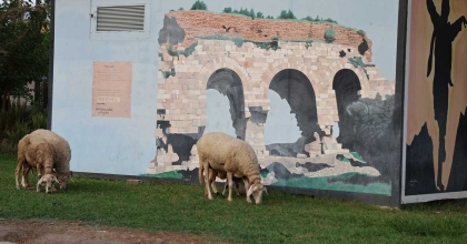 DOĞURGANLIK HIZININ HIZLA DÜŞTÜĞÜ AYDIN'DA PARKLAR KOYUNLARA KALDI