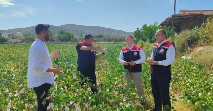 DİDİM'DE ÜRETİM ALANLARI KONTROL EDİLDİ