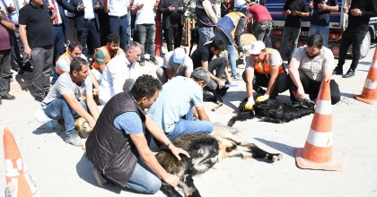 EMET BELEDİYESİ'NDEN HAYIR ETKİNLİĞİ