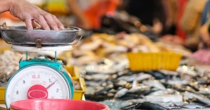 EYLÜL AYINDA SOFRALARDA OLMASI GEREKEN BALIKLAR