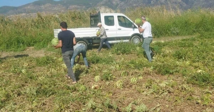GERMENCİK BELEDİYESİ, 2 KAMYON KARPUZ DAĞITTI