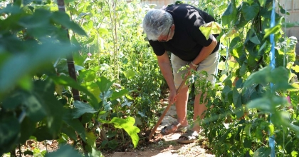 HOBİ BAHÇESİ İÇİN BAŞVURULAR BAŞLADI