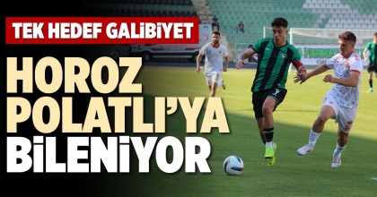 HOROZ POLATLI’YA BİLENİYOR