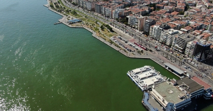 İZMİR KÖRFEZİ'NDE BİLİNDİK MANZARA: BİNLERCE ÖLÜ BALIK GÖRÜLDÜ