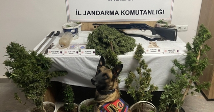 JANDARMADAN UYUŞTURUCU OPERASYONU: 6 GÖZALTI