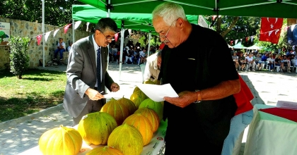 KARABAĞLAR YAYLASI’NDA KAVUNLAR YARIŞTI, KÜLTÜR VE DOĞA BULUŞTU