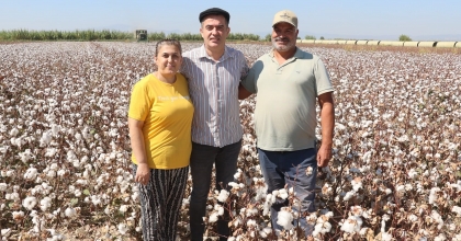 KOÇARLI'DA PAMUK HASADI BAŞLADI