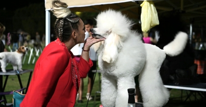 KUŞADASI'NDA RENKLİ KÖPEK ŞÖLENİ