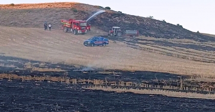 KÜTAHYA'DA ANIZ YANGINI