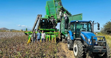 KOÇARLI'DA PAMUK HASADI BAŞLADI