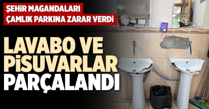 LAVABO VE PİSUVARLAR PARÇALANDI