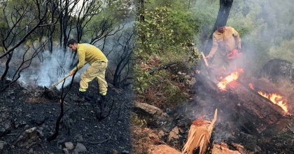 MUĞLA’DA 5 GÜNDE 50 YILDIRIM YANGINI