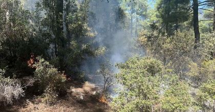 MENTEŞE'DE YILDIRIM YANGINI BÜYÜMEDEN SÖNDÜRÜLDÜ