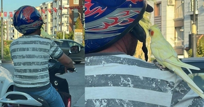OMZUNDA PAPAĞANLA MOTOSİKLETLİ YOLCULUK