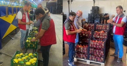 ORTACA'DA NAR VE LİMON İHRACATINDA REKOR BEKLENTİSİ