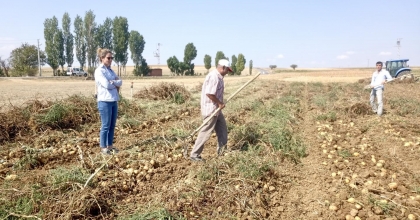 PATATES ÜRETİCİLERİ BİLGİLENDİRİLDİ