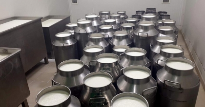 SÖKELİ ÜRETİCİLER İÇİN 3 MİLYON TL SÜT PRİMİ BAŞVURUSU 