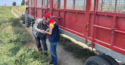 SÖKE'DE PAMUK HASAT MAKİNELERİ DENETLENDİ