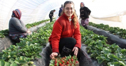 ÇİLEK ÜRETİCİSİ TARLAYA ERKEN İNDİ