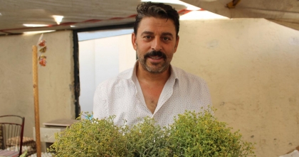 TARHANANIN VAZGEÇİLMEZİ TARHANA OTU TEZGAHLARI SÜSLÜYOR