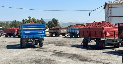 TÜCCAR ALIMI DURDURDU TONLARCA BİBER ELDE KALDI