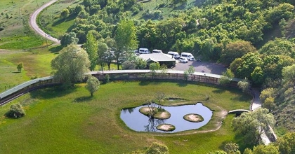 TÜRKİYE'DEKİ MİLLİ PARKLAR VE TABİAT PARKLARINA ZİYARETÇİ AKINI