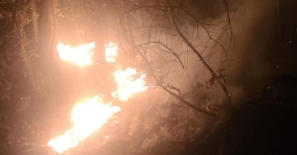 TAVŞANLI'DA ORMAN YANGINI