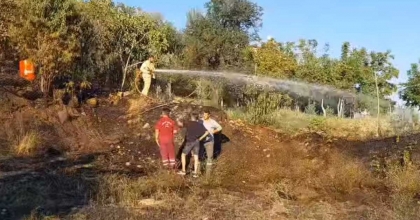 YANGIN ORMANA SIÇRAMADAN SÖNDÜRÜLDÜ