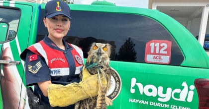 YARALI PUHU KUŞUNA JANDARMA ELİ