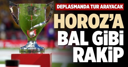 HOROZ’A BAL GİBİ RAKİP
