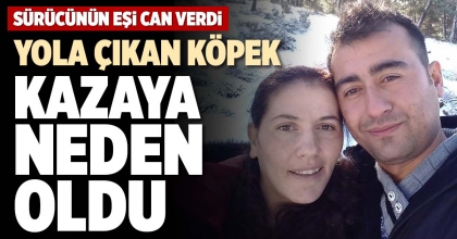 YOLA ÇIKAN KÖPEK KAZAYA NEDEN OLDU