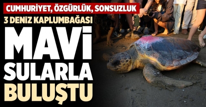 3 DENİZ KAPLUMBAĞASI MAVİ SULARLA BULUŞTU