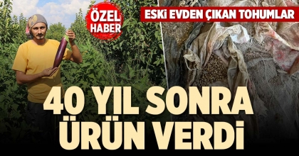 40 YIL SONRA ÜRÜN VERDİ