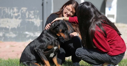 ALİAĞALILAR PATİ PARK’A AKIN ETTİ