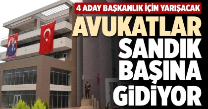 AVUKATLAR SANDIK BAŞINA GİDİYOR
