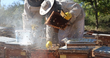 ARILI KOVAN DESTEKLEMELERİNDE SON GÜN