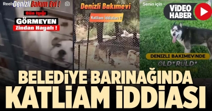 BELEDİYE BARINAĞINDA KATLİAM İDDİASI