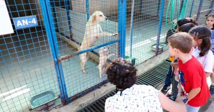 BODRUM'DA 186 ÖĞRENCİ PATİLİ DOSTLARIYLA VAKİT GEÇİRDİ