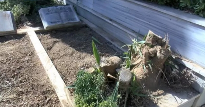 CEM GARİPOĞLU'NUN MEZARI AÇILDI